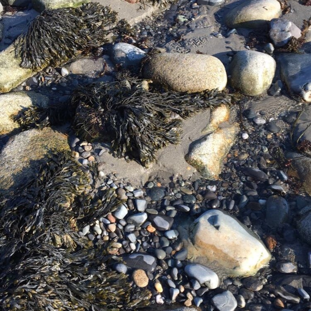 Meet your Posher, Bri